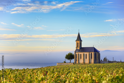 Vineyards and church of Saint Laurent d'Oingt at sunrise, Beaujolais land, France