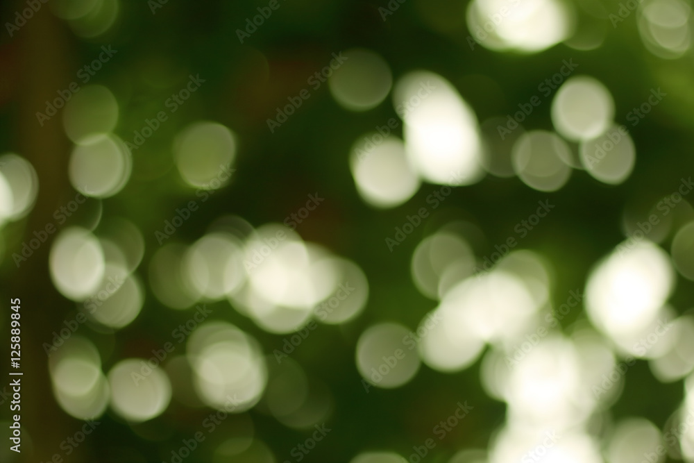 Green bokeh background from nature forest Green bokeh background from nature forest