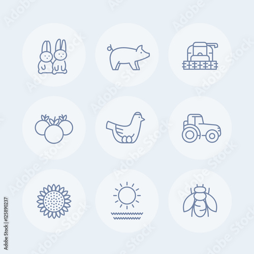 Farm, ranch line icons set, hen, pig, crop, vegetables, sunflower, harvester, agrimotor isolated pictograms