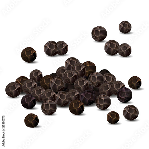 Black pepper closeup vector illustration