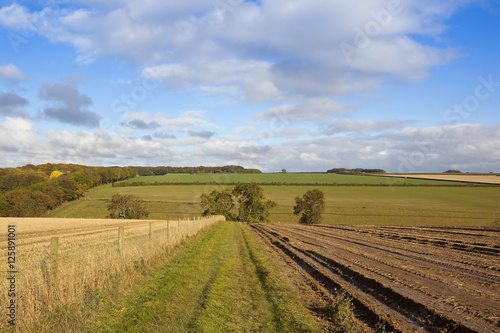 yorkshire wolds bridleway