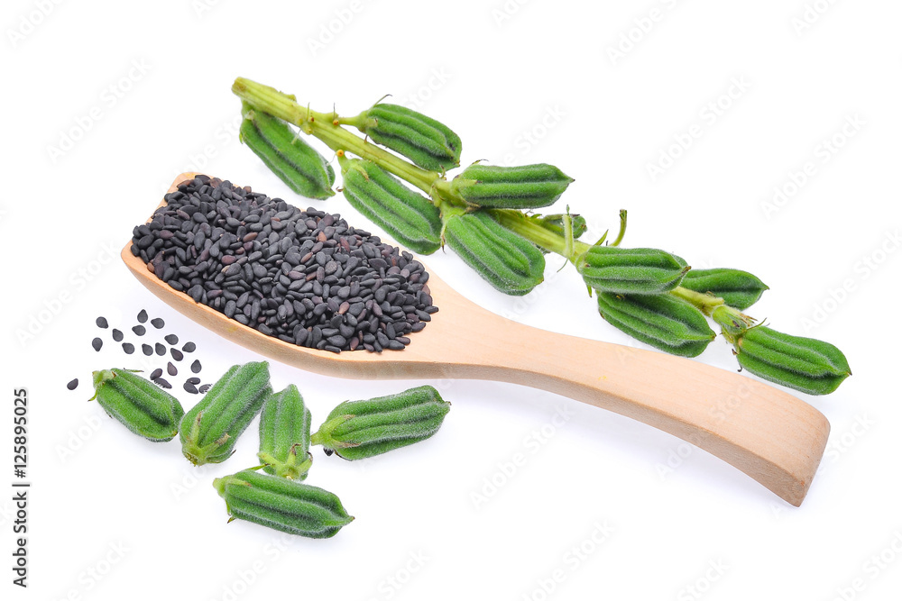 Sesame Seed Pod