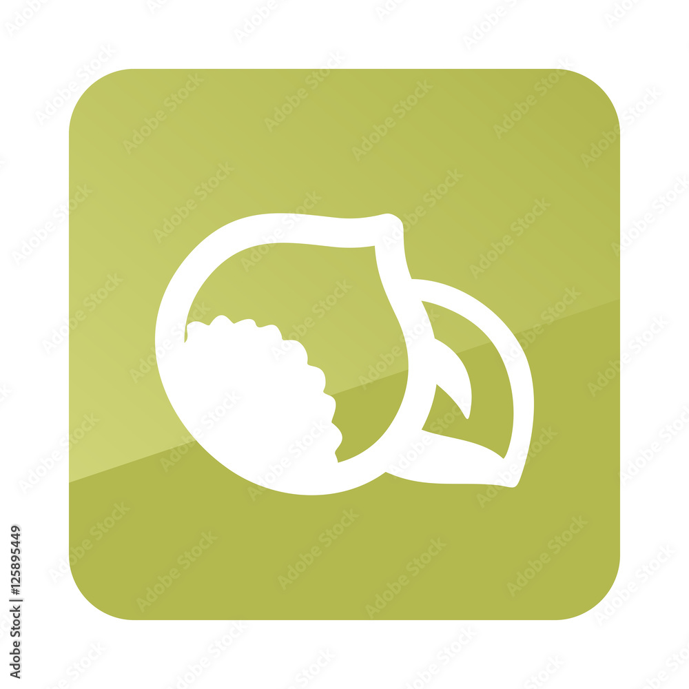 Nut outline icon. Fruit