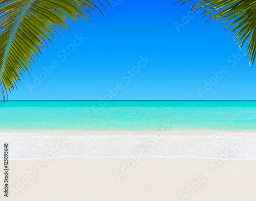 Fototapeta Naklejka Na Ścianę i Meble -  Tropical white sandy palm beach and clear ocean water background