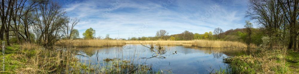 Panorama of a lake in Germany