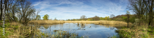 Panorama of a lake in Germany