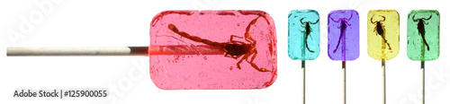 Photography Sucettes avec scorpions / Scorpion Lollipop