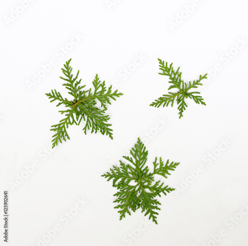 Pine star snow flake Christmas tree and small white flowers made . New Year concept. Flat lay. © kathayut