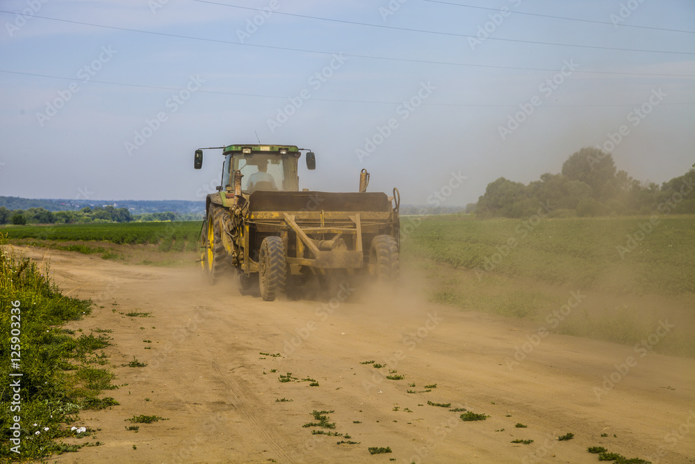 Fototapeta premium Tractor rides on the road near the potato field