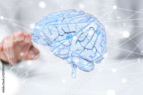 brain