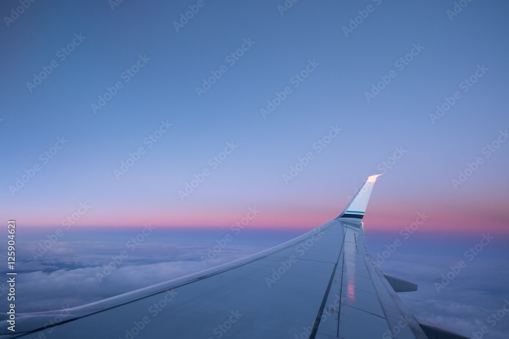 飛行機からの景色