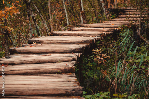 Fototapeta Naklejka Na Ścianę i Meble -  Wooden footpath in autumn forest