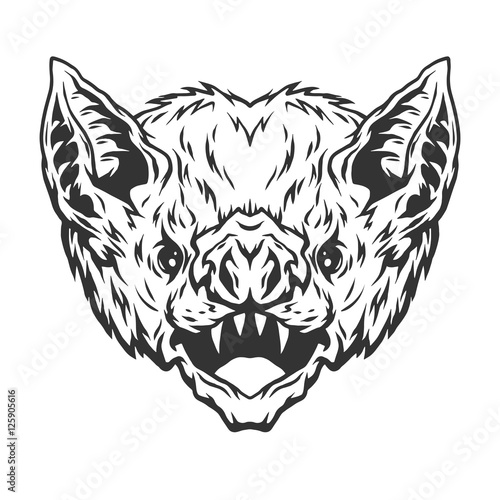 Angry head vampire bat.