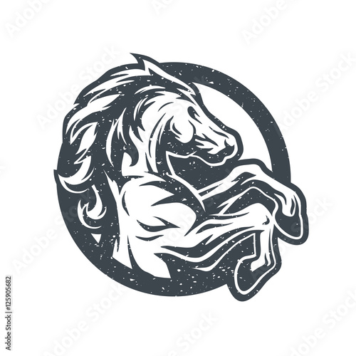 Wild horse, logo, symbol.