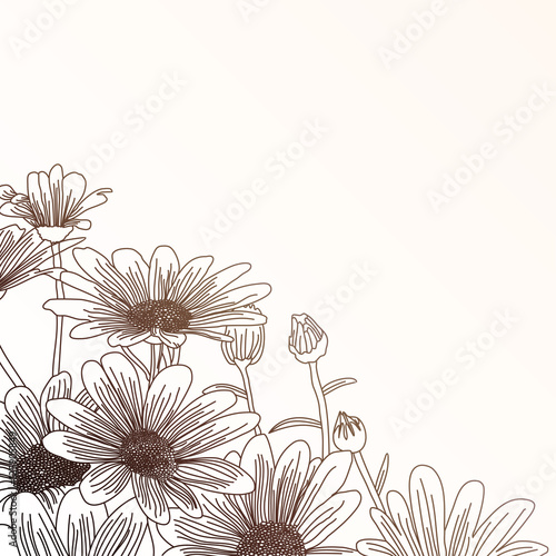 Fototapeta Naklejka Na Ścianę i Meble -  Daisy flowers on a beige background, outline drawing.