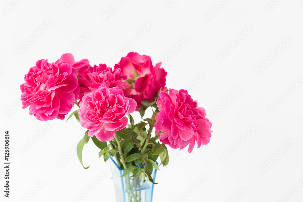 Red rose bouquet in blue vase isolated on white