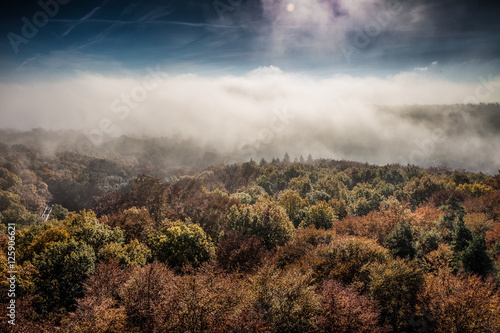 Nebel im Herbstwald  © longeville