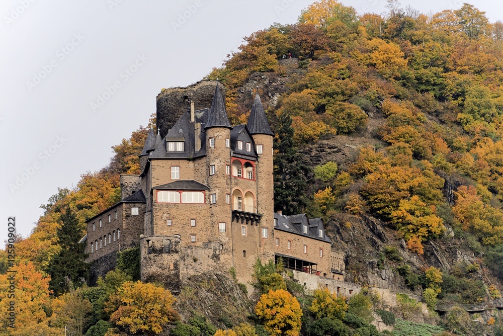 Burg Katz 
