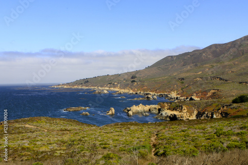 Point Lobos