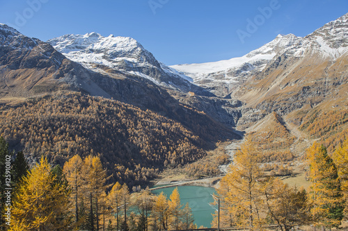 Blick von der Alp Grüm auf den Palü-Gletscher am Berninapass, Graubünden, Schweiz © tauav