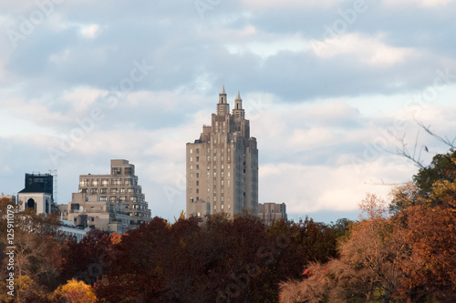 Autumn colored trees with buildings behind them