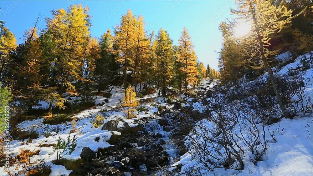 le Parc naturel régional du Queyras