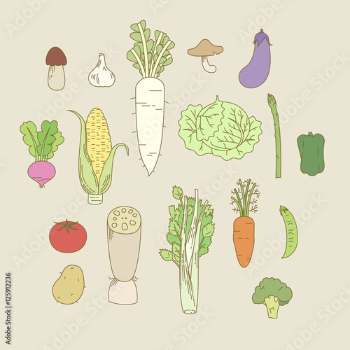 Vector flat illustration of colorful vegetables; carrot, radish,eggplant,garlic