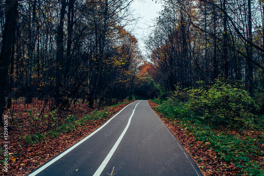 Fototapeta premium Осенний парк. 11