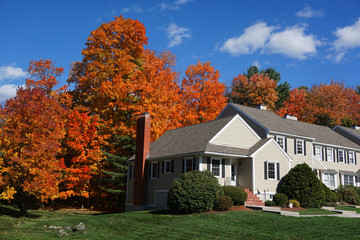 apartment building with colorful autumn trees