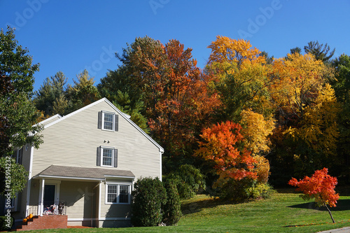 apartment building with colorful autumn trees
