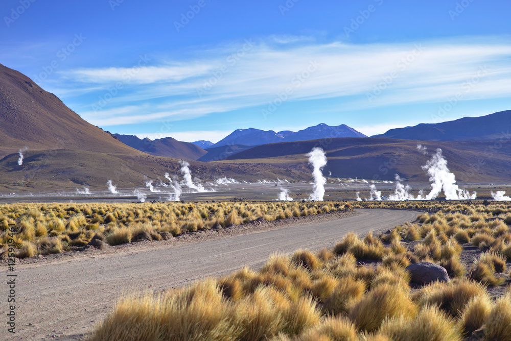 Obraz premium Majestic view of geysers field seen from afar just after sunrise.