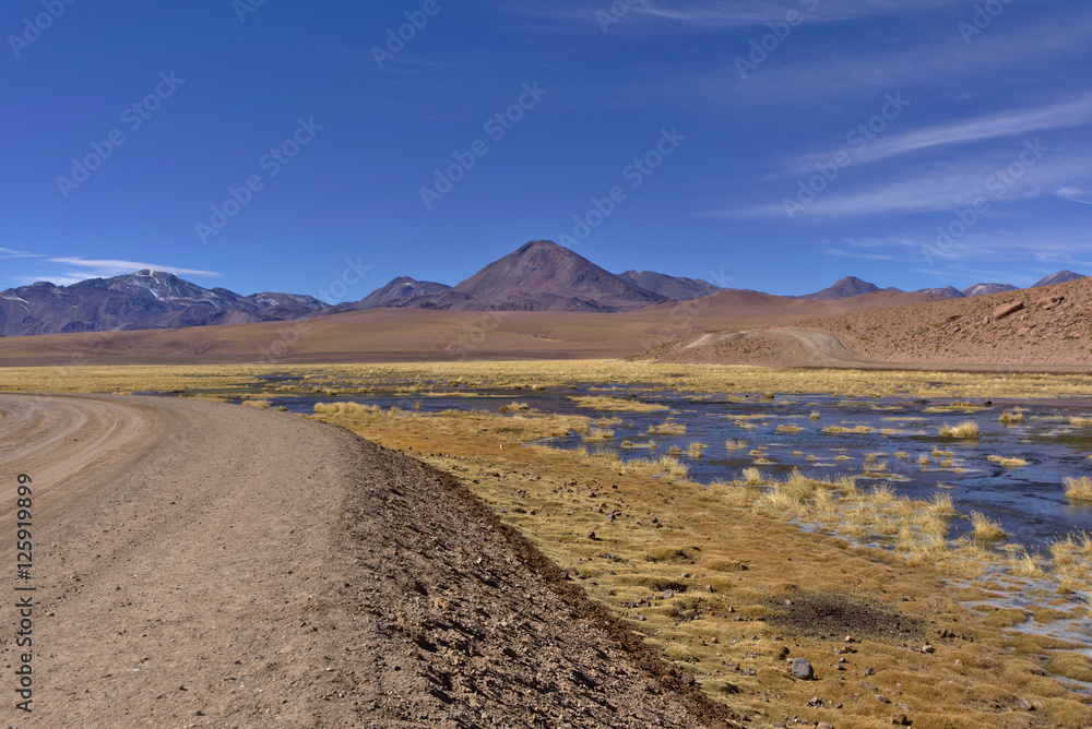 Road in the desert next to lush pond and volcanoes.