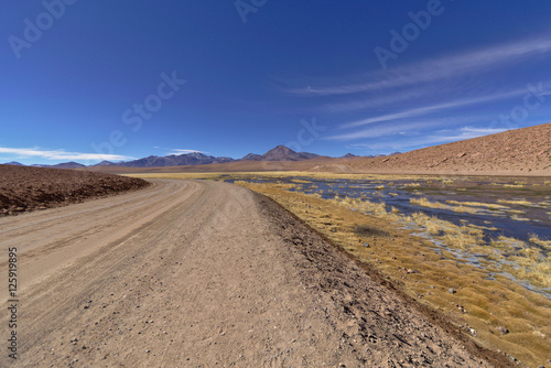 Road in the desert next to lush pond and volcanoes.