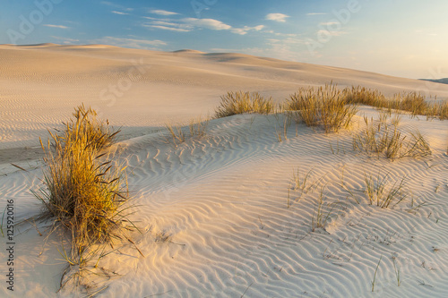 beautiful view of the coastal dunes © masar1920