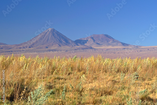 Pleasant colored grass field in front of two massive volcanoes i