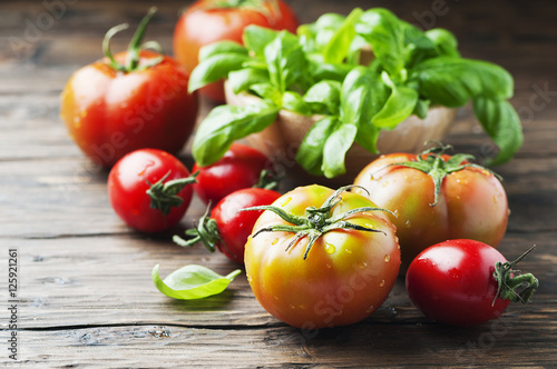 Green basil and red sweet tomato