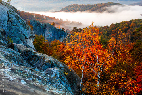 Deep moss autumn forest in mountains with big stone.