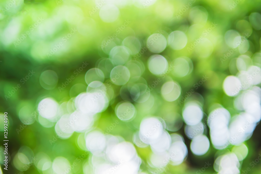 Obraz premium Green leaf with white bokeh abstract for bacground use