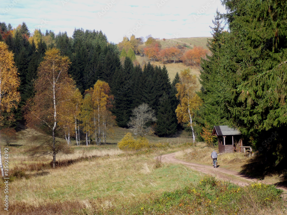 Obraz premium Herbstlandschaft 13