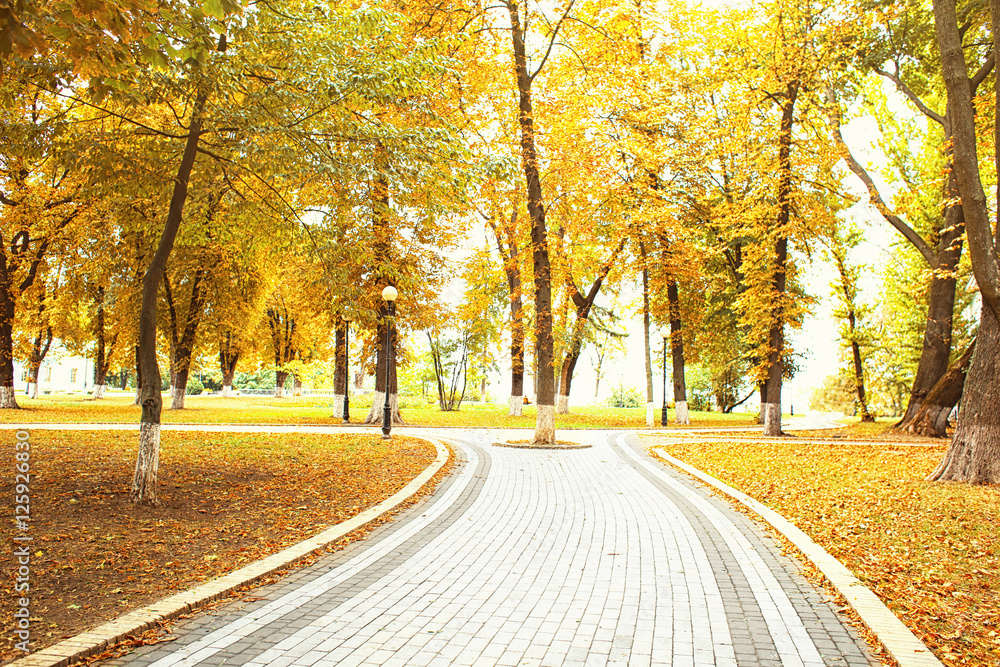 Footpath in beautiful autumn park