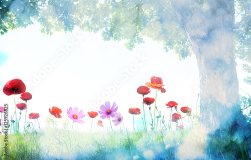 Fototapeta Naklejka Na Ścianę i Meble -   landscape with tree