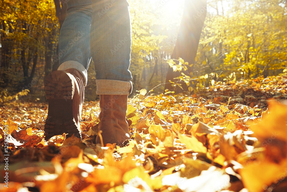 Naklejka premium Legs of woman walking in autumn park on sunny day