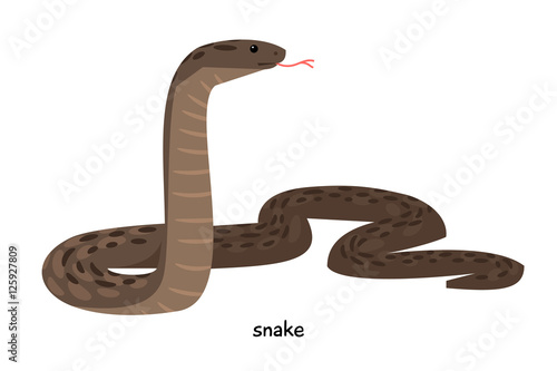 Snake with brown skin and long tongue sticking out