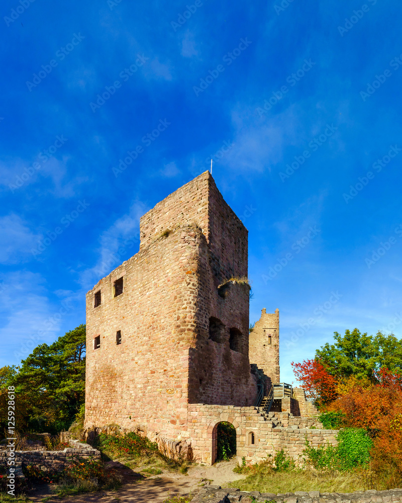 Fototapeta premium Old medieval castle ruins in Alsace, France