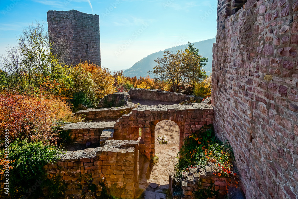 Old medieval castle ruins in Alsace, France Old medieval castle ruins in Alsace, France