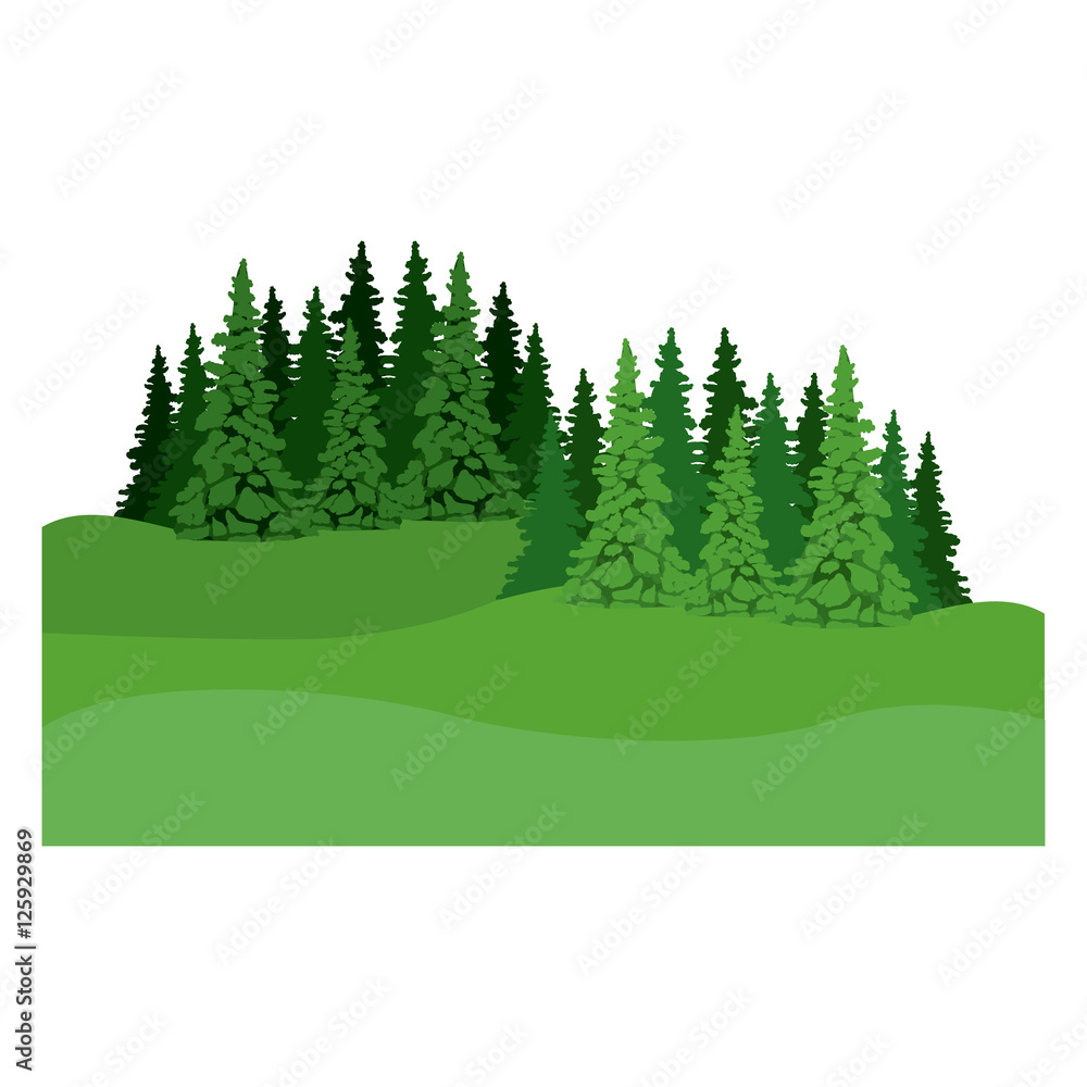 Fototapeta premium pine tree icon. Plant nature spring garden theme. Isolated design. Vector illustration