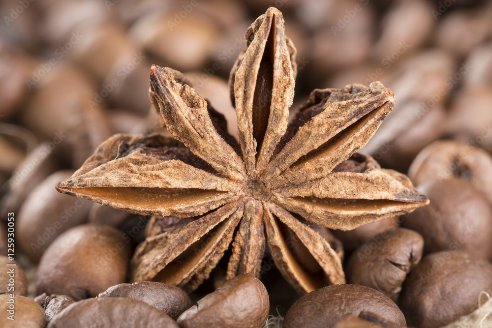 Coffee beans and star anise close up. Coffee beans and star anise close up.