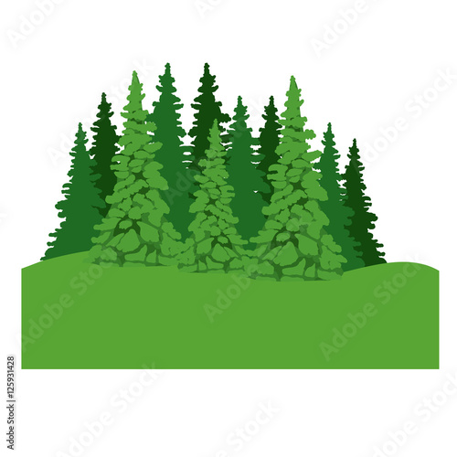 pine tree icon. Plant nature spring garden theme. Isolated design. Vector illustration