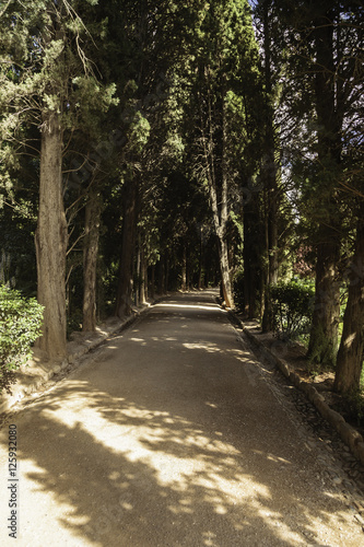 Alhambra, Generalife, Granada, Walk to the exit.