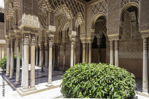 Alhambra, Palacio de los Leones, Granada
 photo